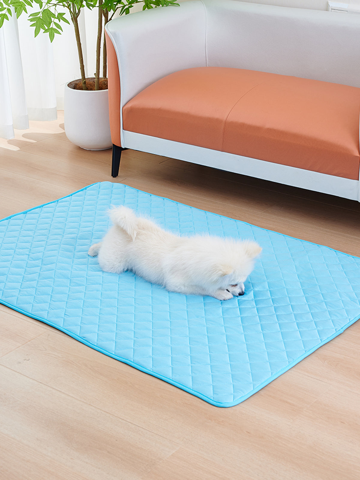 Tapis rafraîchissant chien